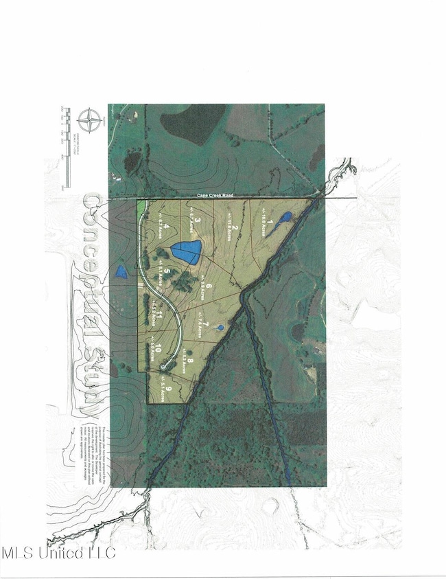 0 Cane Creek Rd unit 4125143, Flora, MS 39071 - photo 3