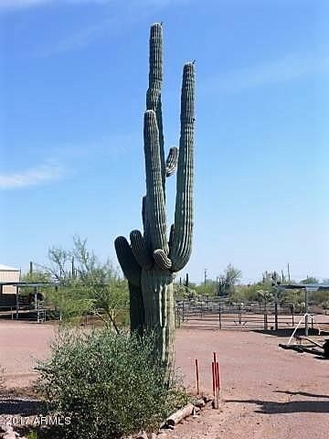 267 E Saddle Butte St, Apache Junction, AZ 85119 - photo 3