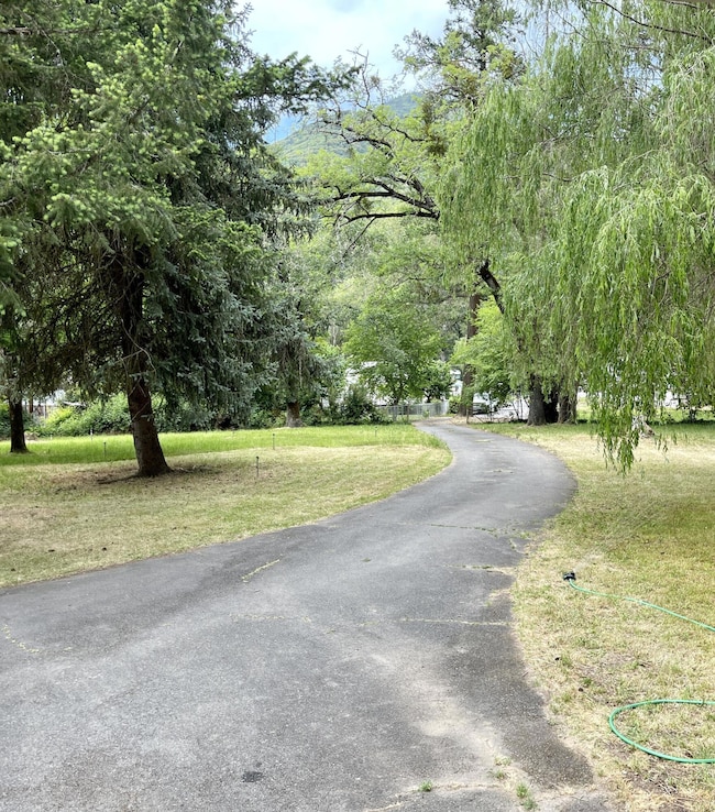 Driveway to MH & Cabin