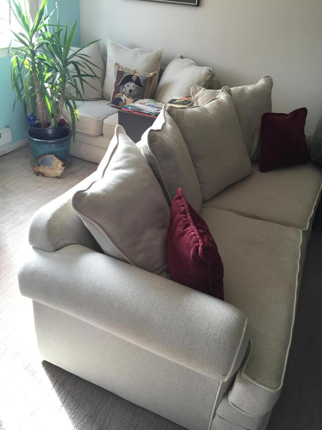 Sleeper Sofa