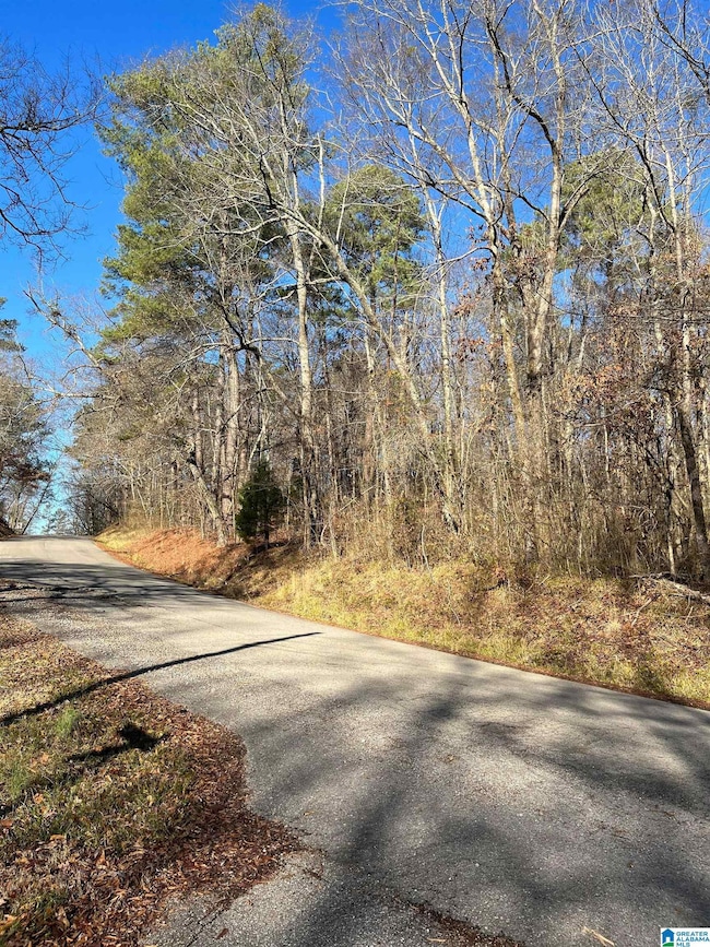 208 Oak Forest Dr unit 1, Birmingham, AL 35217 - photo 4