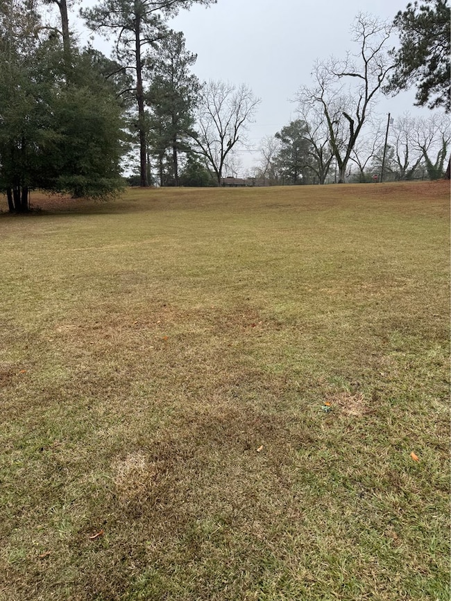 0 McQuaig St NW, Cairo, GA 39828 - photo 7