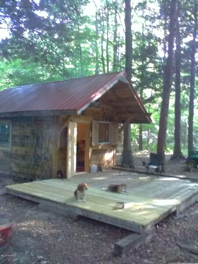 Suring Cabin Hesperia