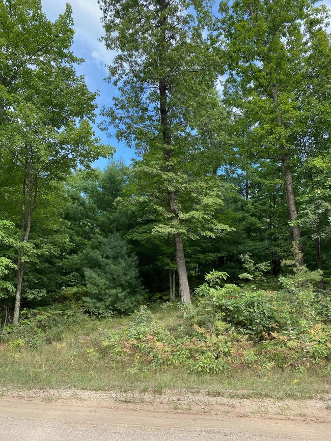 Trees