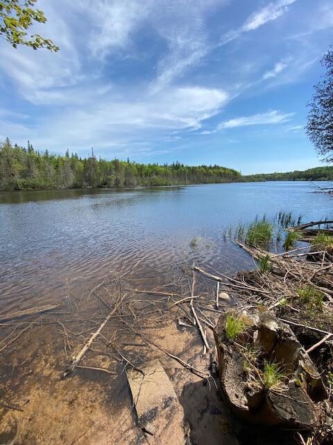 Tahquamenon River looking east