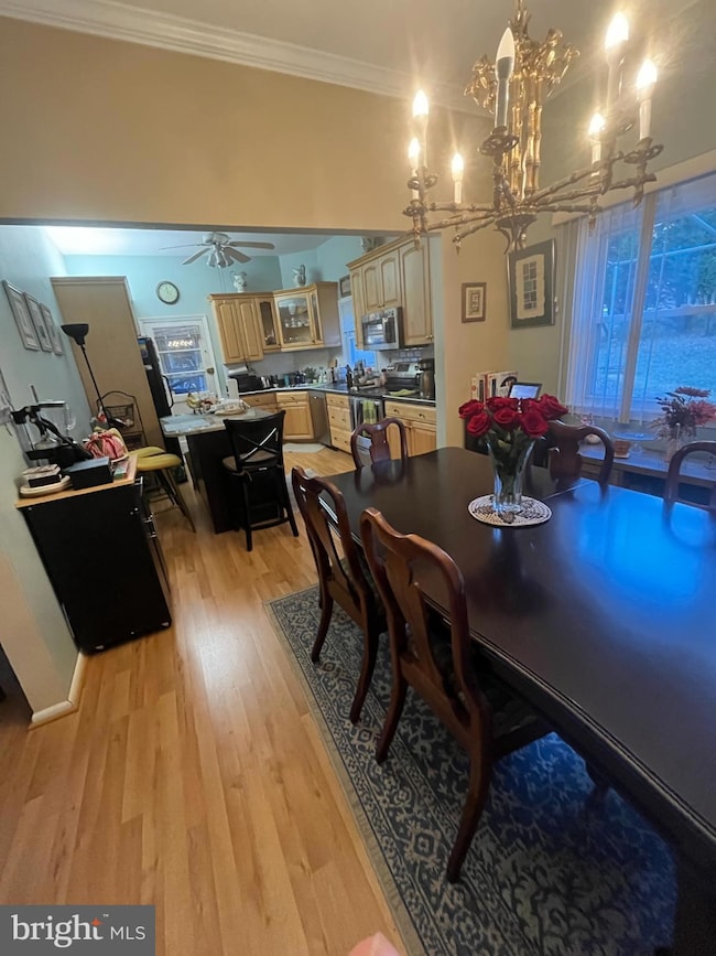 12512 Ofallon St, Silver Spring, MD 20904 - photo 7