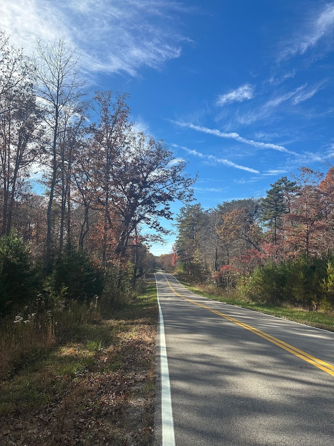 4982 Colony Rd, Gruetli Laagr, TN 37339 - photo 6