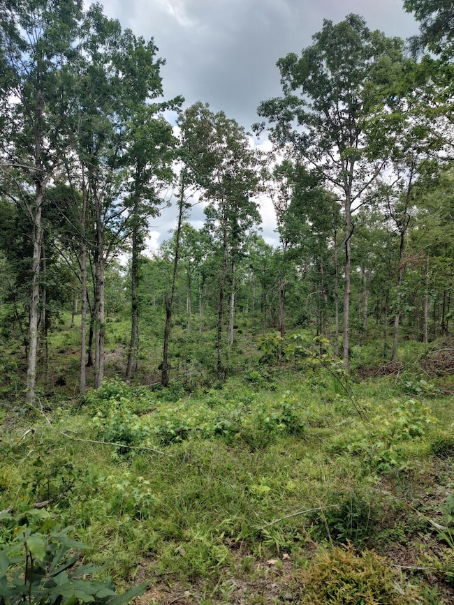 IMG_20250611_133146334_HDR