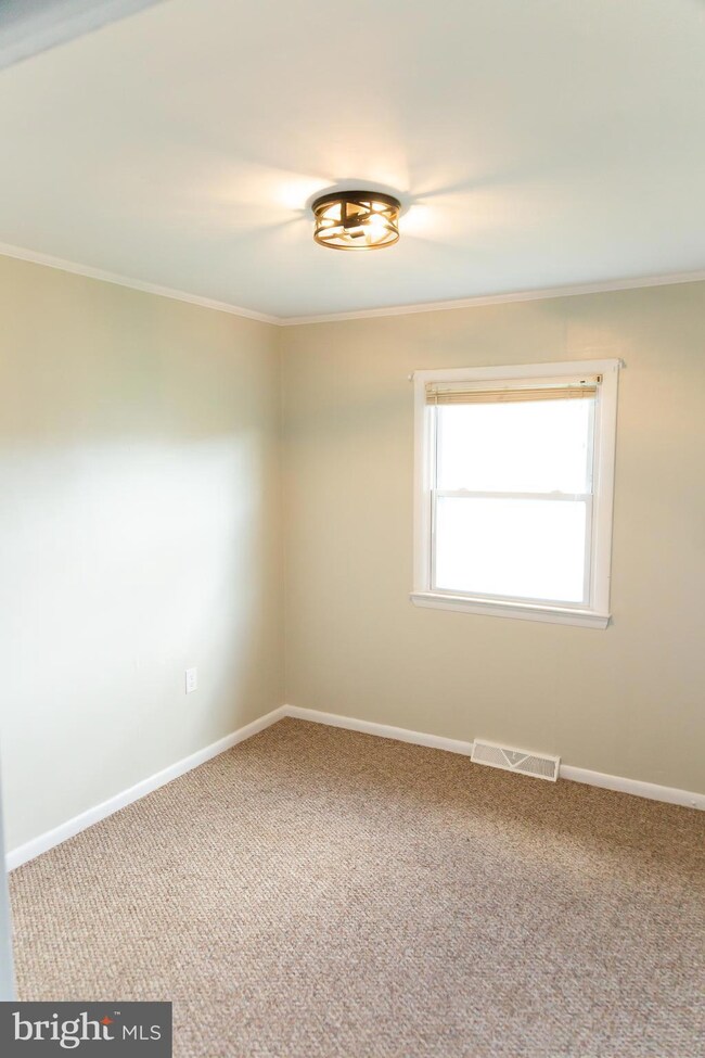 15609 Senedo Rd, Edinburg, VA 22824 - photo 5