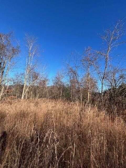 0 Noon Day Sun unit 26042798, Topton, NC 28781 - photo 4