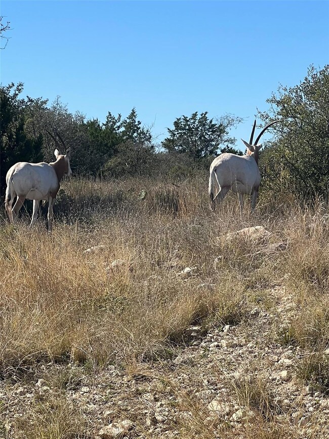 View of nature with rural landscape