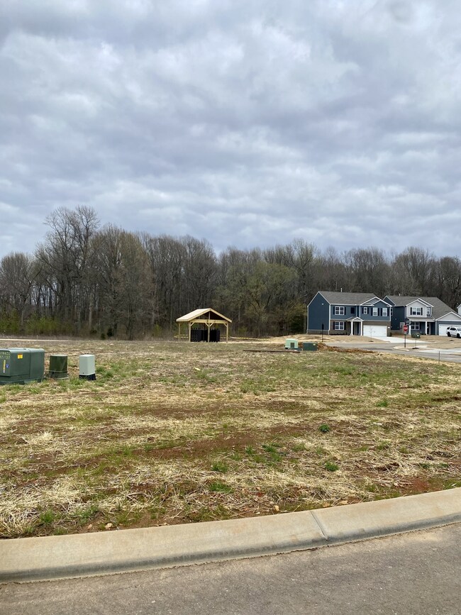 View from Front Door on cul de sac