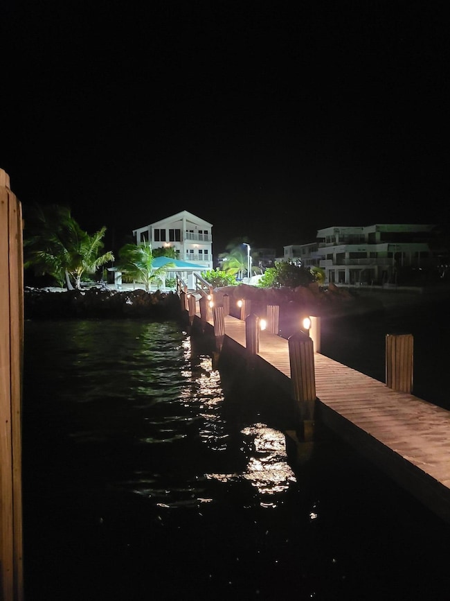 Night View of Fishing Pier