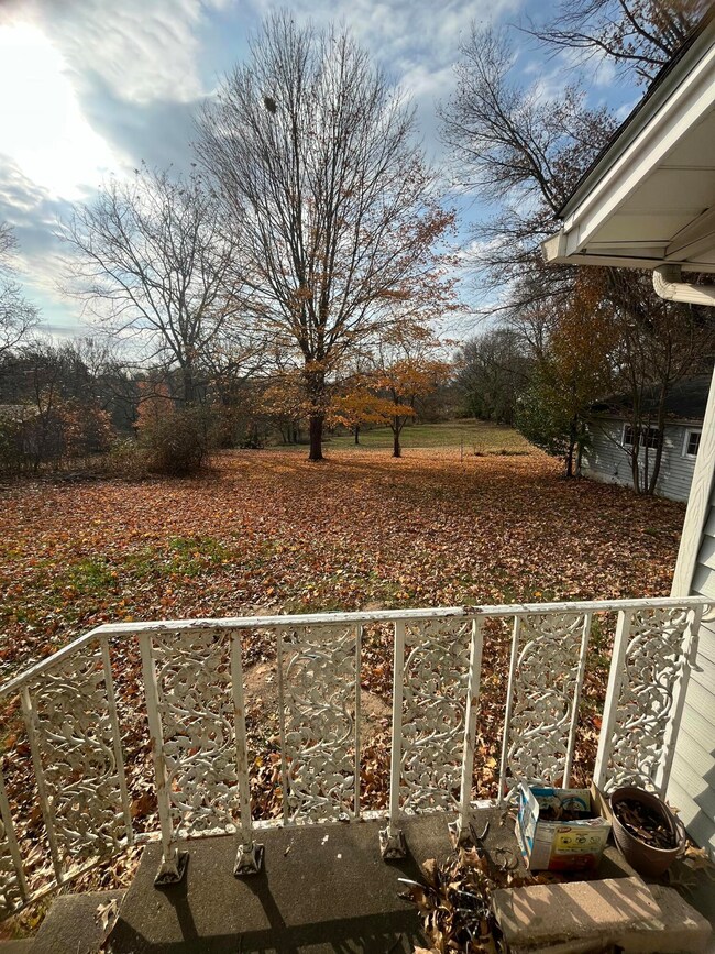 107 E Mockingbird Ln, Crane, MO 65633 - photo 5