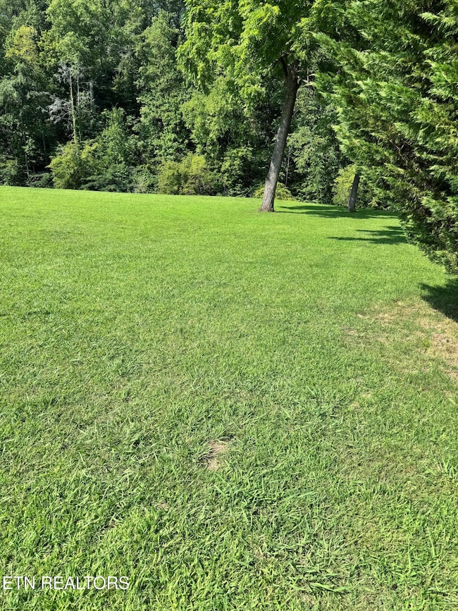 0 River Bank Rd unit 1308284, Pigeon Forge, TN 37863 - photo 3