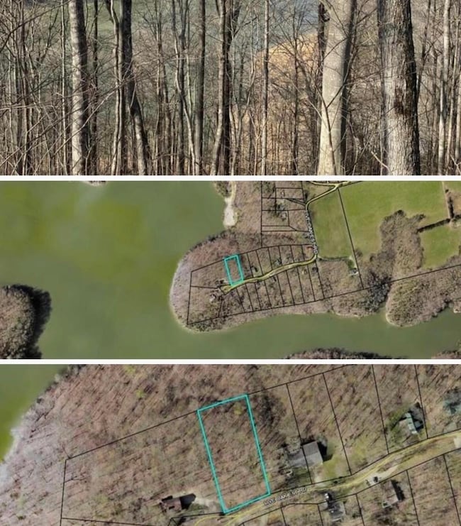 12 W Old Jamestown Rd, Russell Springs, KY 42642 - photo 5