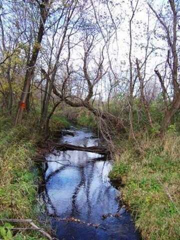 W702 Horan Rd, Brooklyn, WI 53521 - photo 7