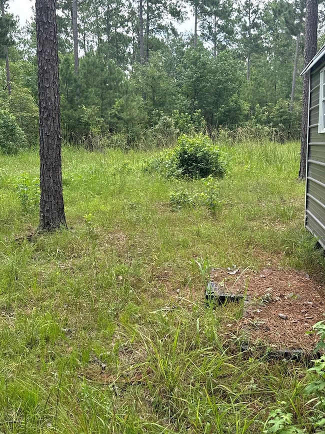 090 County Divide Rd, Pineland, TX 75968 - photo 6