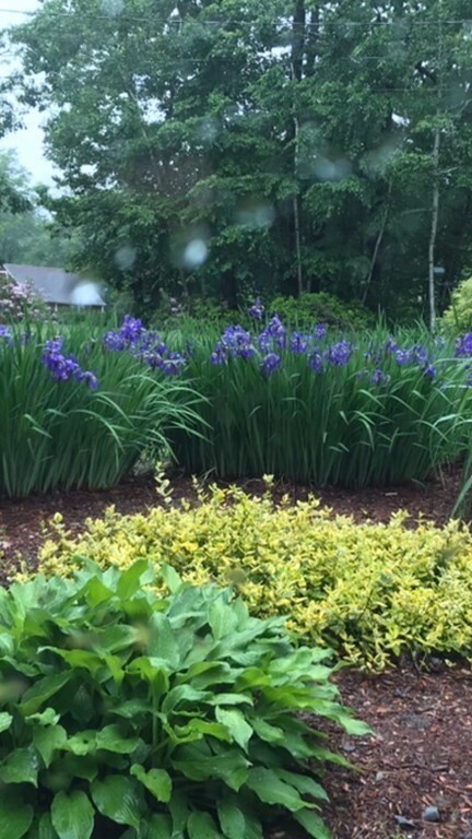 97 E Haynes Rd, Townsend, MA 01469 - photo 5