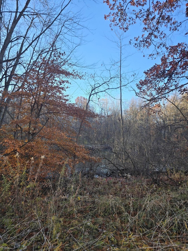 VL Marcellus Hwy, Marcellus, MI 49067 - photo 6