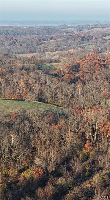 58079 Dow Trail Tract 1, Hannibal, MO 63401 - photo 3