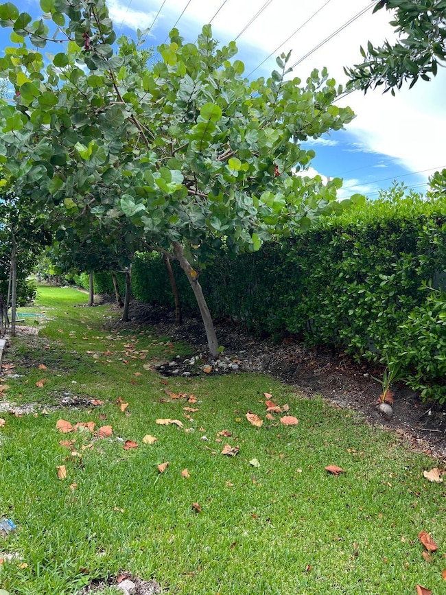 WhatsApp Image 2025-06-03 at 5.51.35 PM