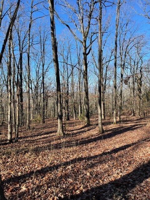 0 Tbd unit 1263583, Crosses, AR 72727 - photo 5