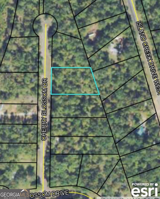 0 NE Cherry Blossom Dr unit 10646074, Sparta, GA 31087 - photo 2