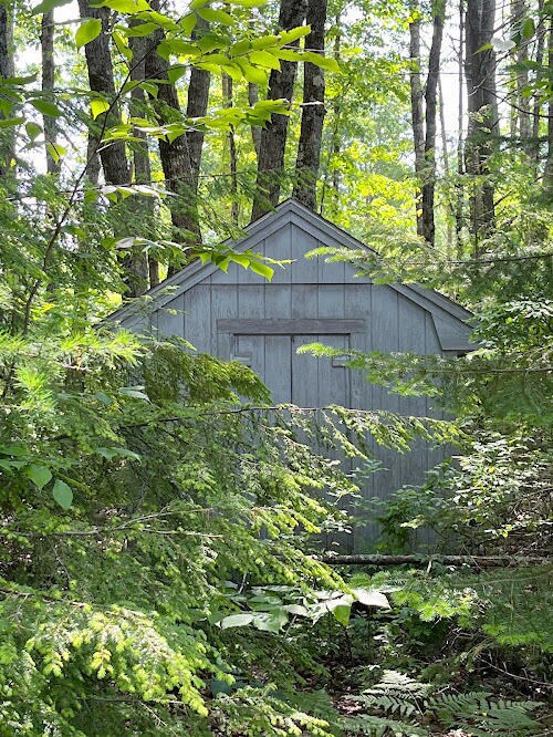 330 Beech Plains Rd, Buxton, ME 04093 - photo 4