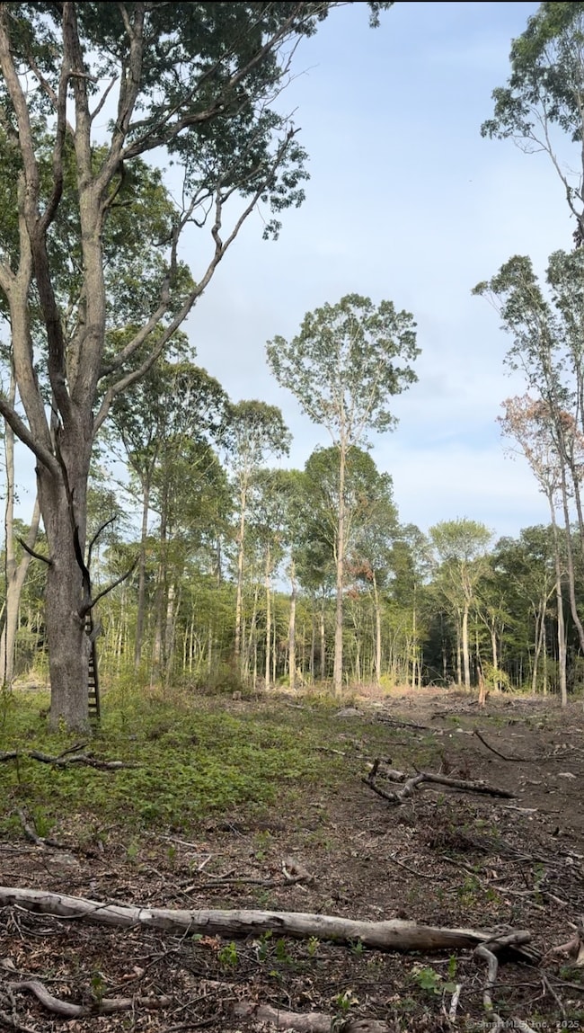 223 N Bride Brook Rd, East Lyme, CT 06333 - photo 4