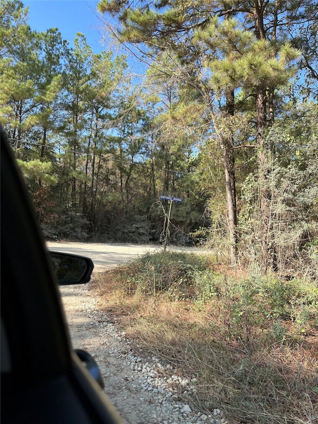 A0181 Northwest Passage, Plantersville, TX 77363 - photo 4