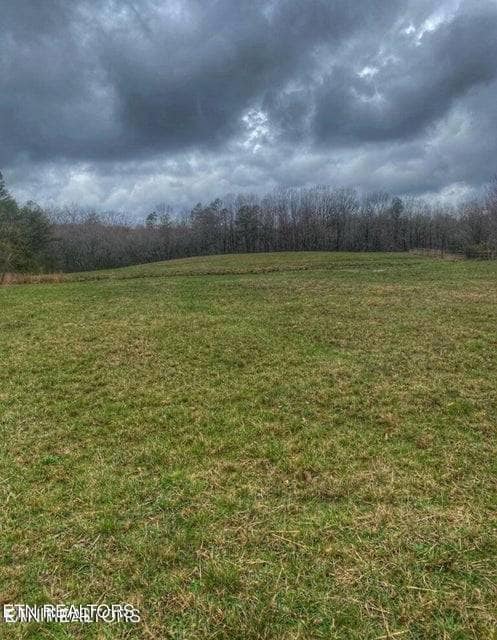 297 Hitchin Post Dr, Jamestown, TN 38556 - photo 7