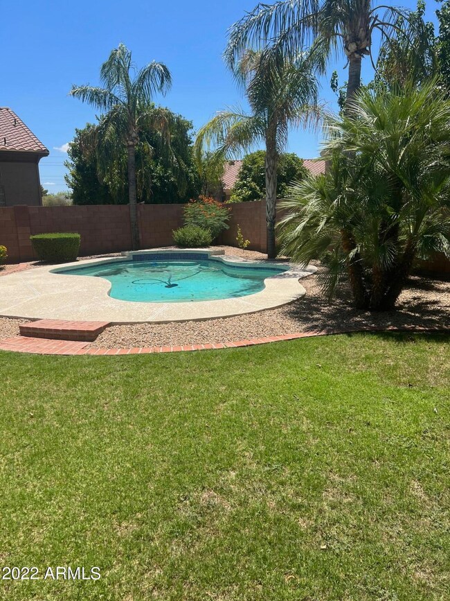 Back yard