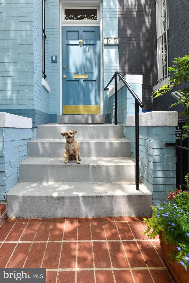 1114 G St NE, Washington, DC 20002 - photo 3