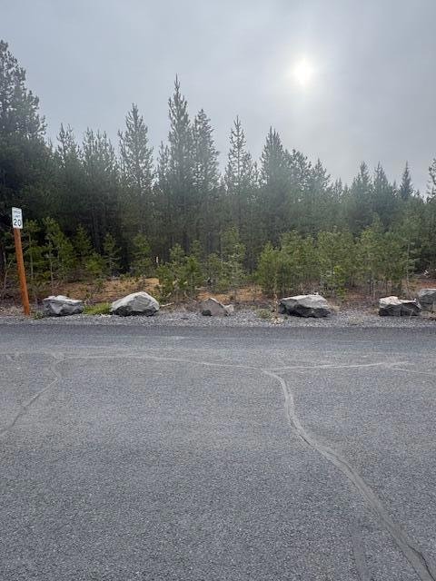 58 Royce Mount Way, Crescent Lake Junction, OR 97733 - photo 2