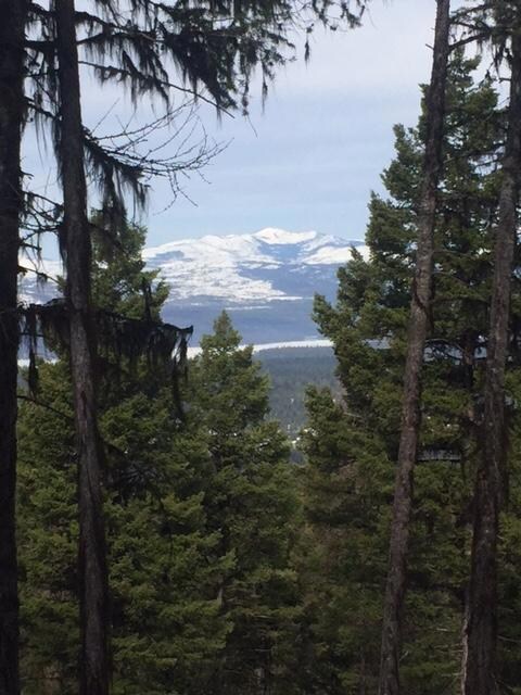 723 Wolverine Dr, Seeley Lake, MT 59868 - photo 3