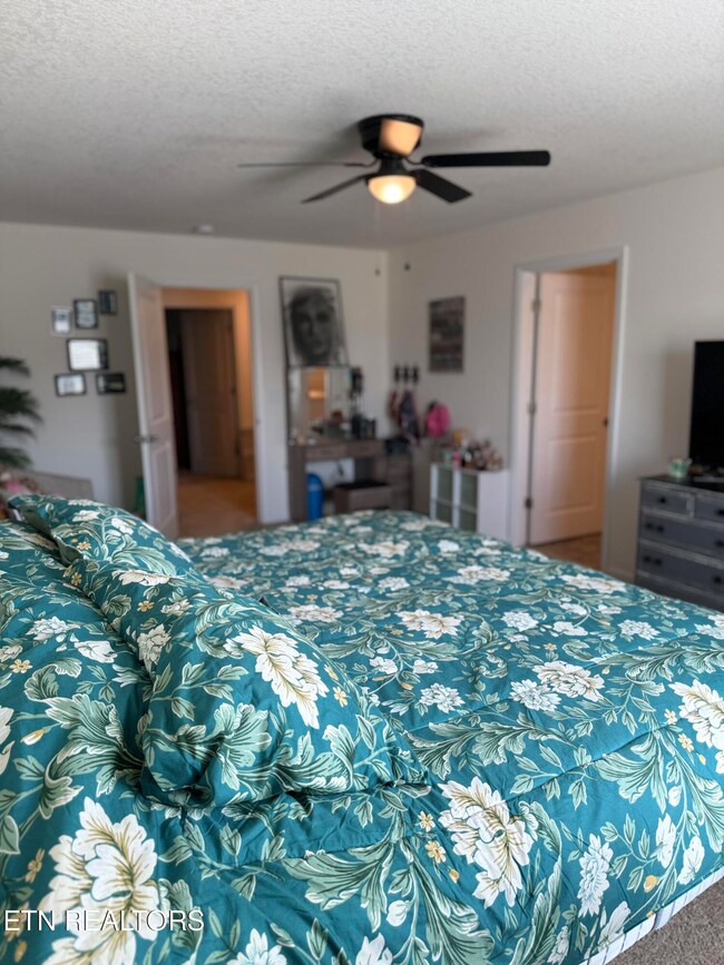 7763 Bill Keaton Dr, Corryton, TN 37721 - photo 7