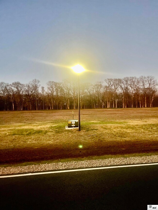 9317 Desiard Trace, Sterlington, LA 71280 - photo 7