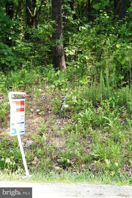 6529 Lawyers Rd, Spotsylvania, VA 22551 - photo 4