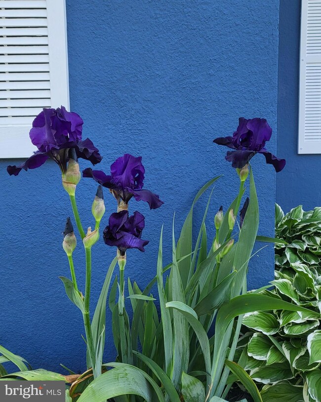 820 Waterview Dr, Orchard Beach, MD 21226 - photo 5