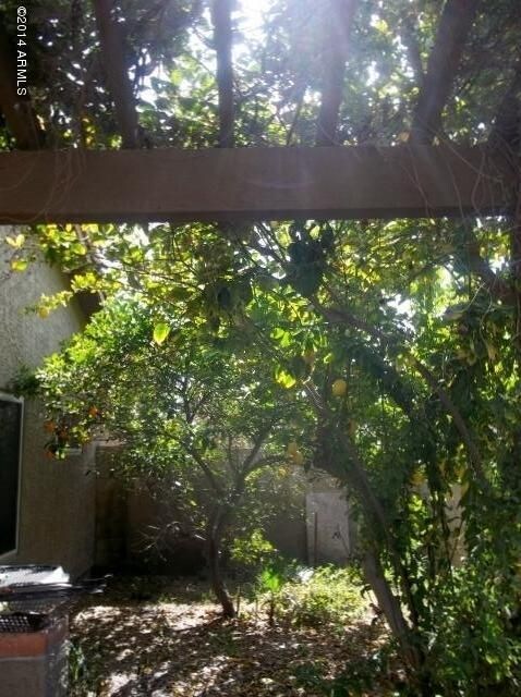 1944 E Citation Ln, Tempe, AZ 85284 - photo 6