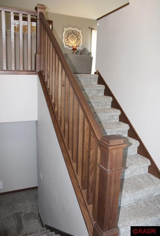 2007 2007 Pratt Cir, St. Peter, MN 56082 - photo 4