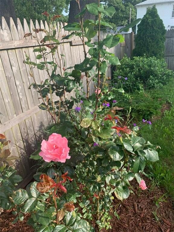 109 Kenway Ave, Warwick, RI 02889 - photo 6