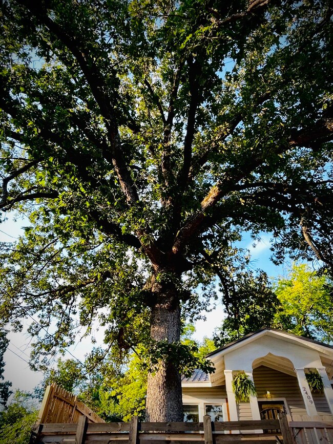 2409 Kirby Ave, Chattanooga, TN 37404 - photo 4