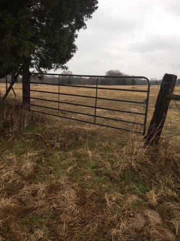 TBD Cr 1316, Malakoff, TX 75148 - photo 4