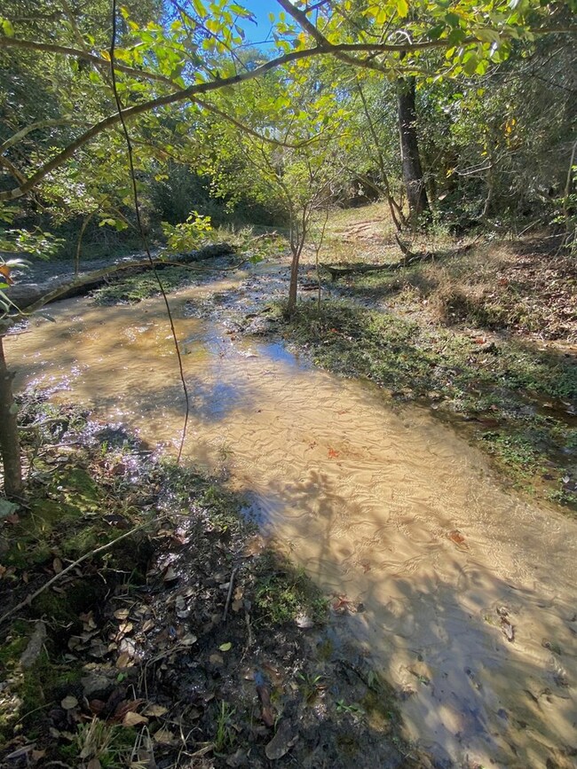 485 Private Road 6142, Grapeland, TX 75844 - photo 7