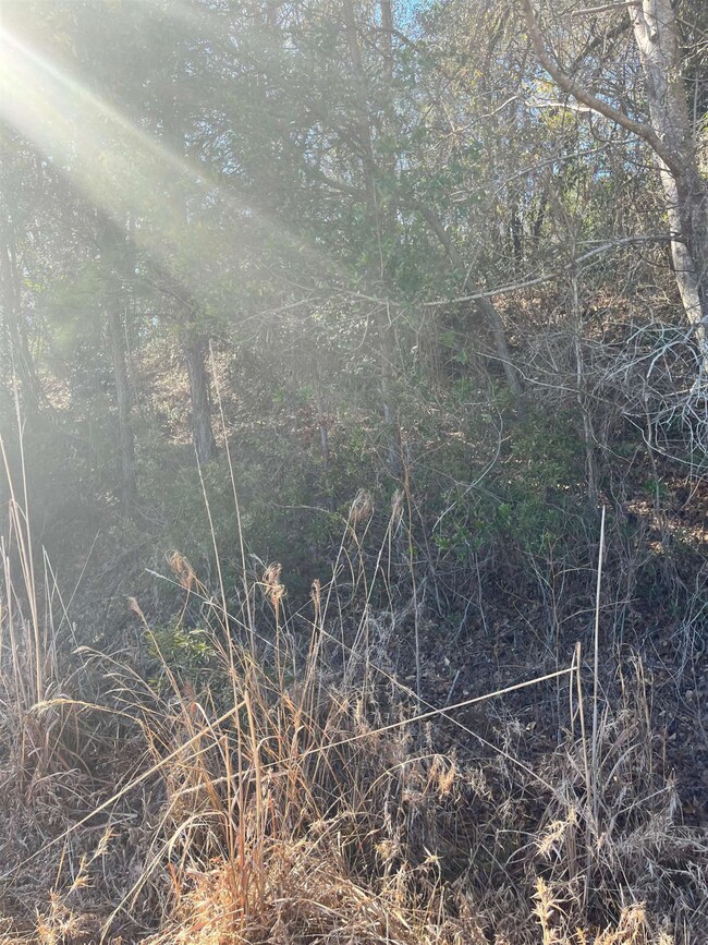 000 Ashley St, Fayetteville, NC 28305 - photo 6