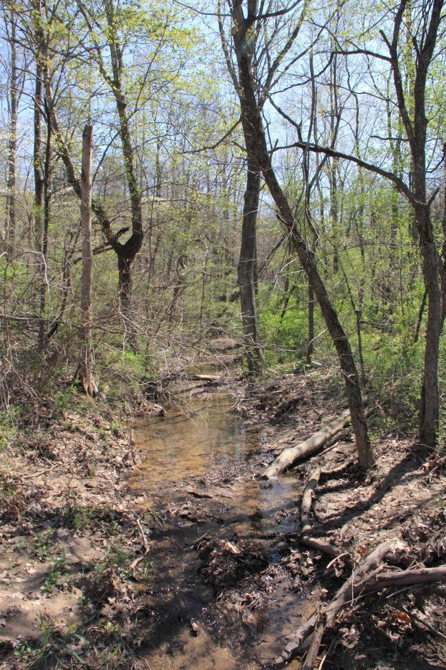 16331SkinnerHockingHills