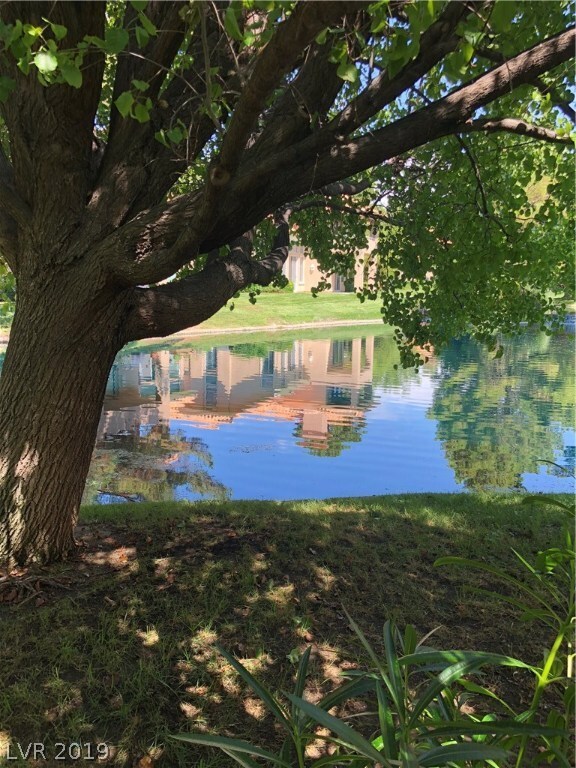 5069 Mount Pleasant Ln, Las Vegas, NV 89113 - photo 4