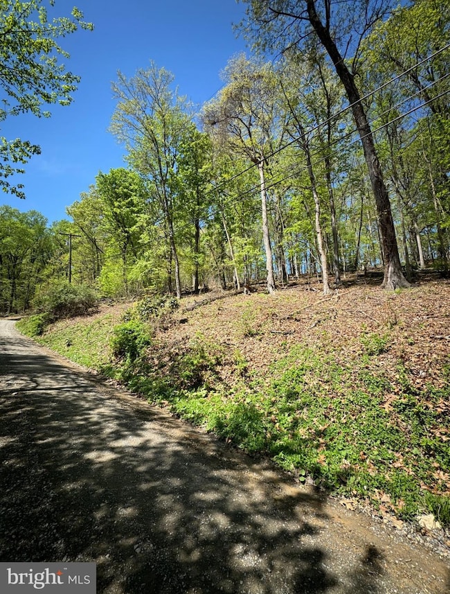 0 Timber Ln, Shenandoah Retreat, VA 20135 - photo 4